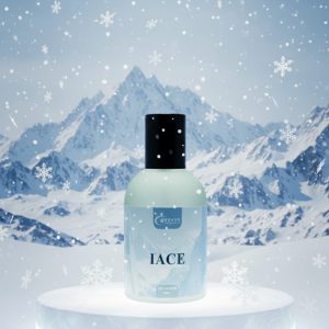 Home bohemian rhapsody attire