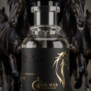 Black stallion - inspired by ganemede