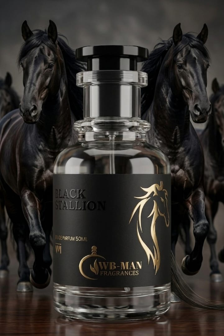Black stallion - inspired by ganemede